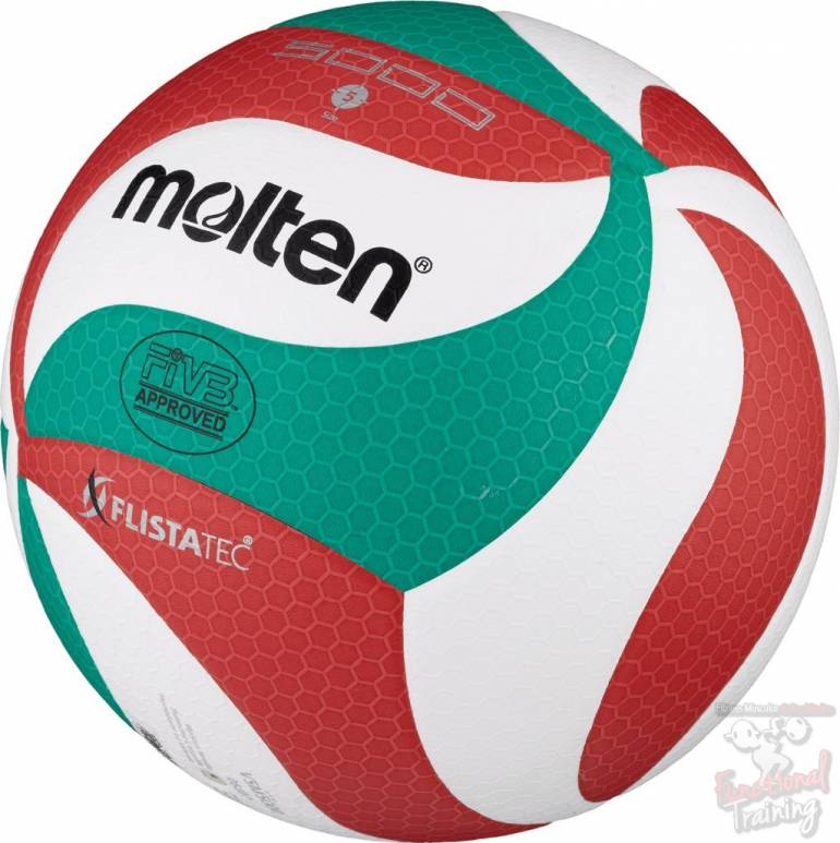 Balón de Volleyball v5m5000 – Molten